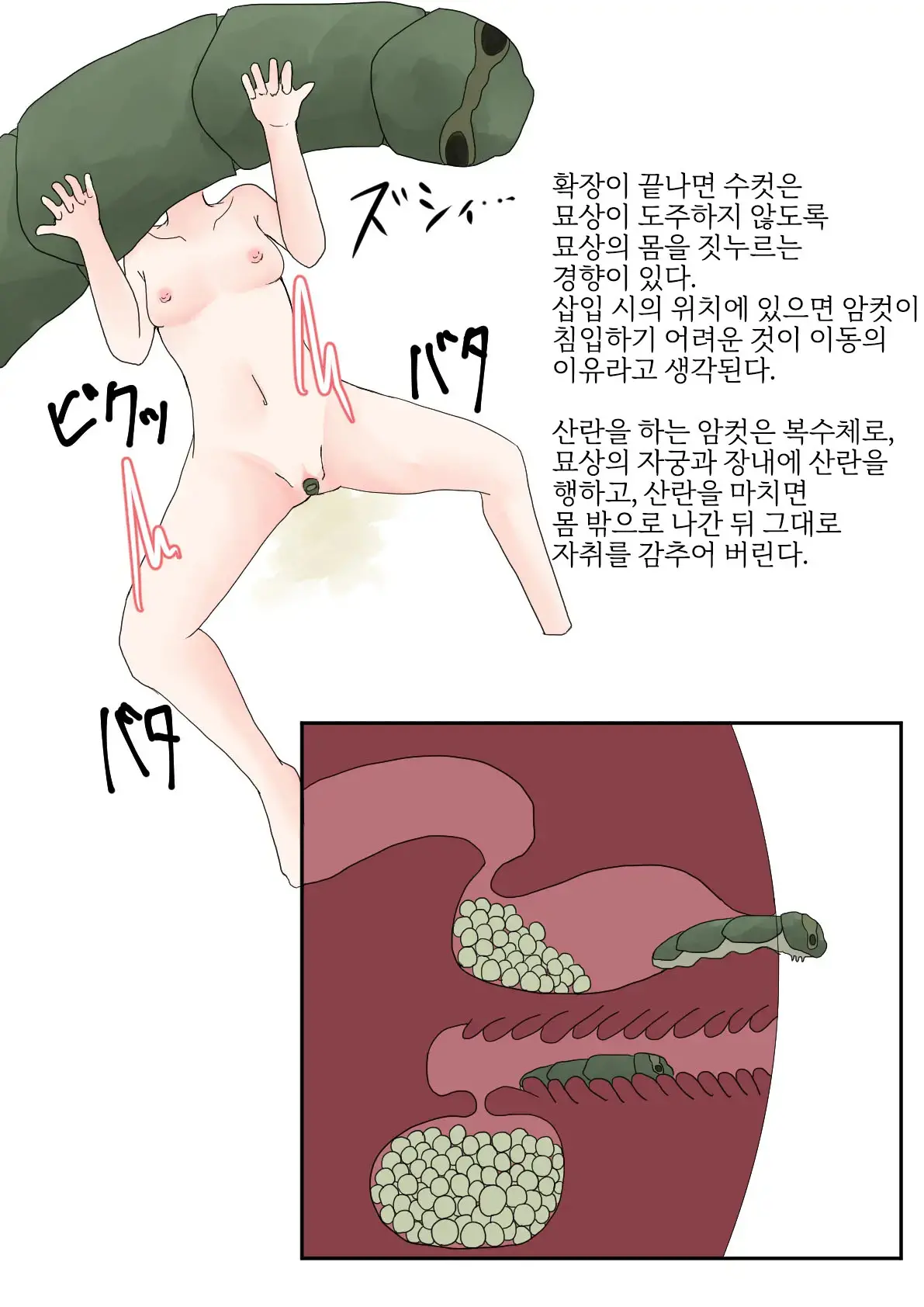 웹툰 이미지 11