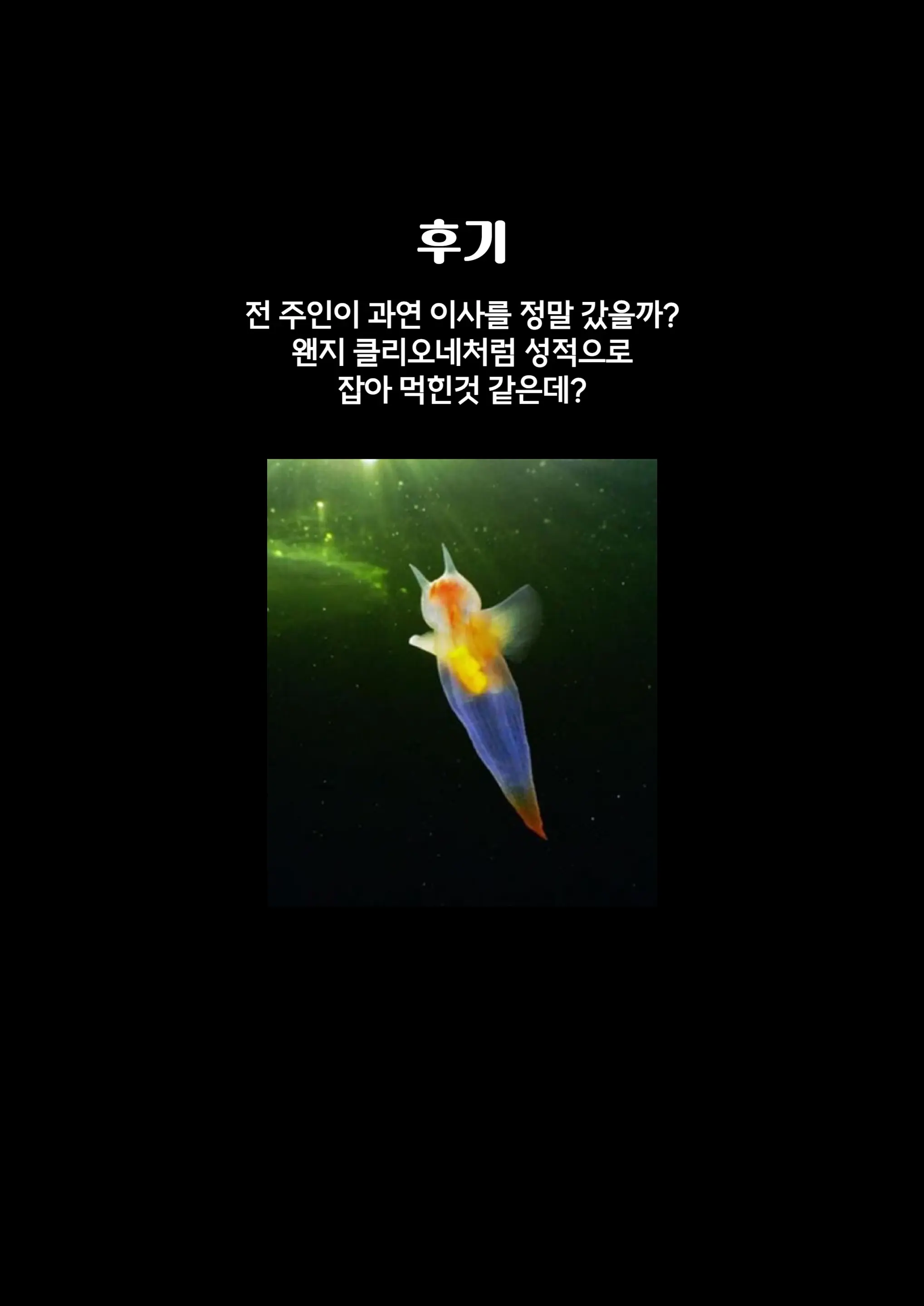 웹툰 이미지 26