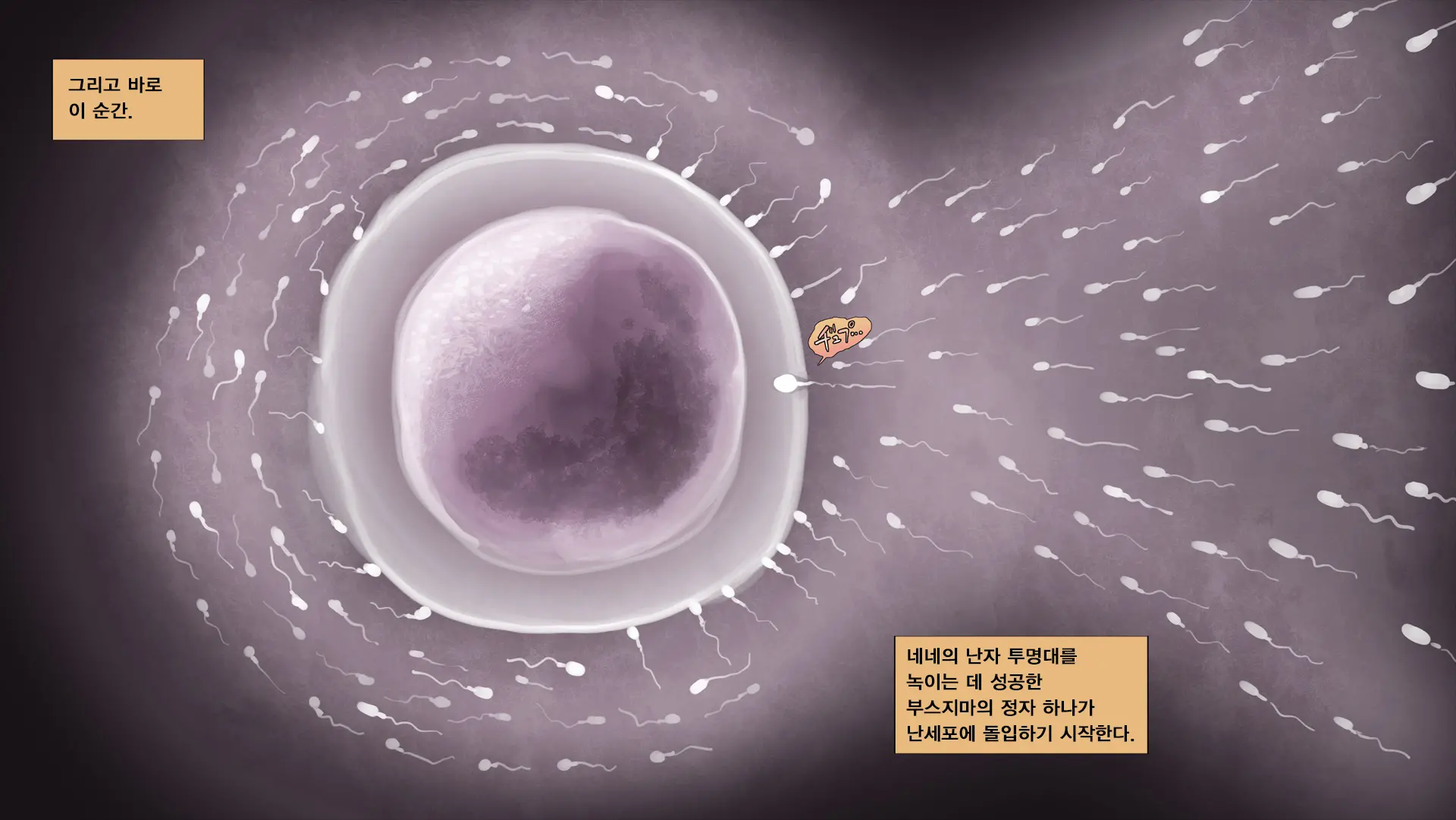 웹툰 이미지 420