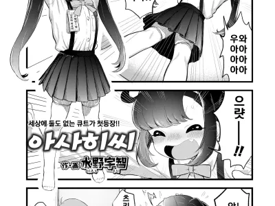 Asahi San | 아사히씨