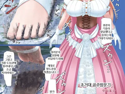 초거대 공주방문기