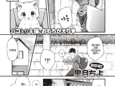 Nyan toka Shite yo!!