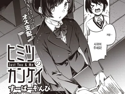 Himitsu no Kankei