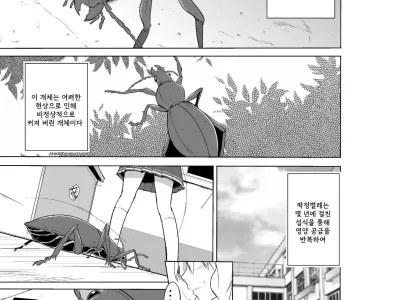 Sasara no Mushiasobi | 사사라의 벌레유희