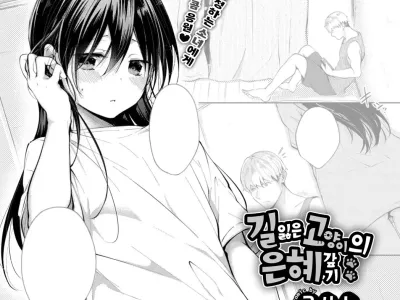Mayoineko no Ongaeshi | 길잃은 고양이의 은혜갚기