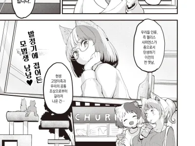 Neko no Wakusei - Planet of Pussy cats | 고양이 행성