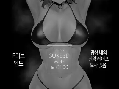 Limited SUKEBE Works in C100