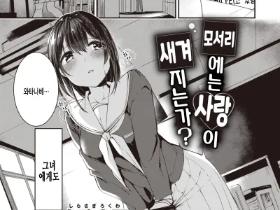 Kado ni wa Ai ga Yadoru no ka? | 모서리에는 사랑이 새겨지는가?