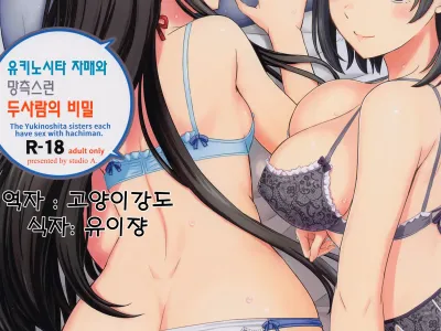 Yukinoshita Shimai to Iyarashii Futari no Himegoto. - The Yukinoshita sisters each have sex with hachiman. | 유키노시타 자매와 망측스런 두사람의 비밀.