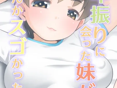 Ichinen-buri ni Atta Imouto ga Nanka Sugokatta Ken.