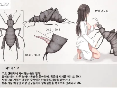 Mushi Research Report No.23