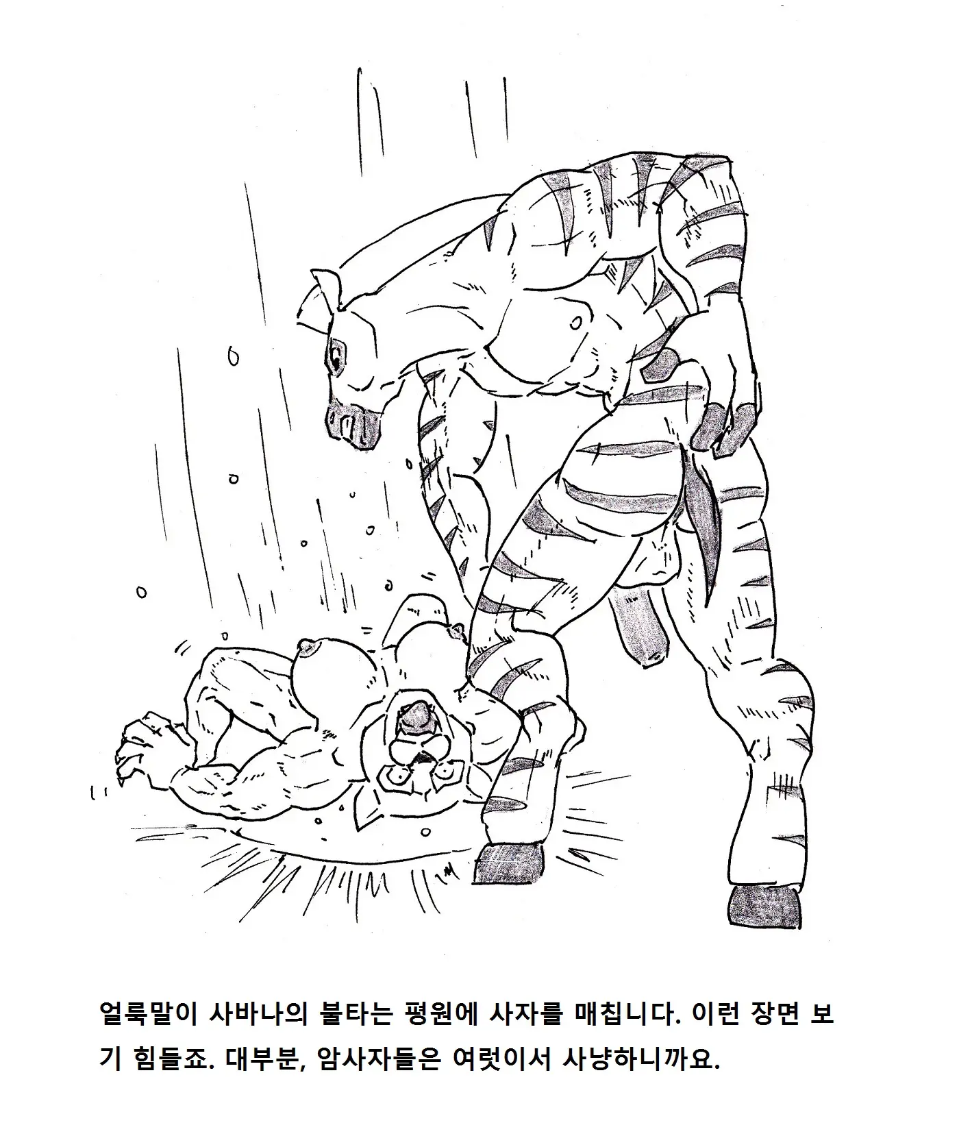 웹툰 이미지 4