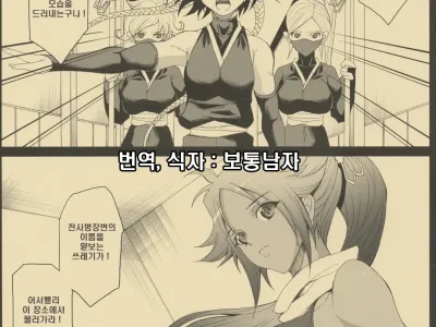Tsuntsun Soifon no Yoruichi Younikki | 새침한 소이폰의 요루이치님 일기