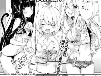 Nyan Nyan Dai Sakusen