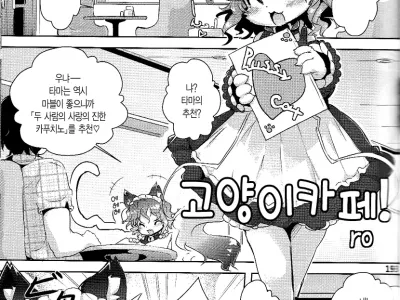 Neko Cafe!