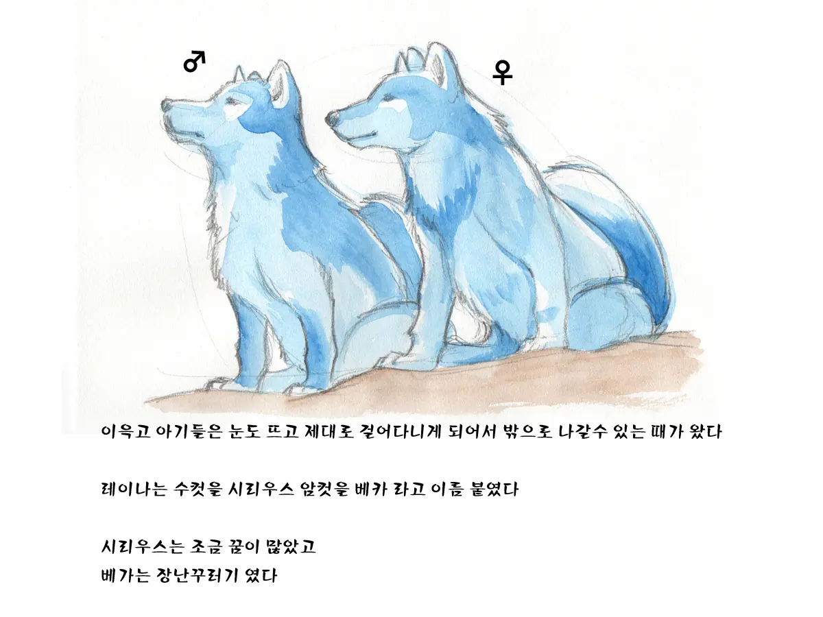 웹툰 이미지 62