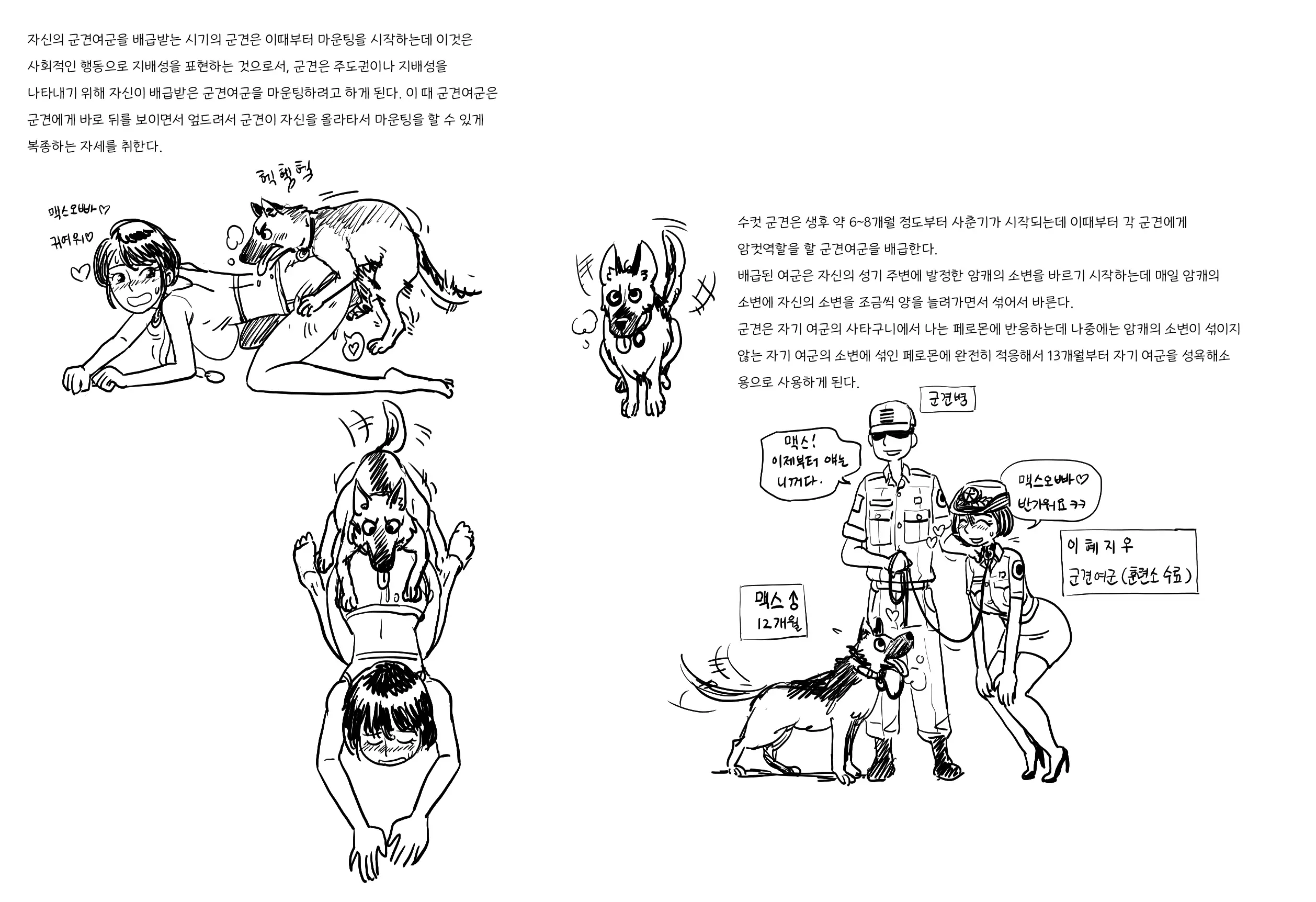 웹툰 이미지 41