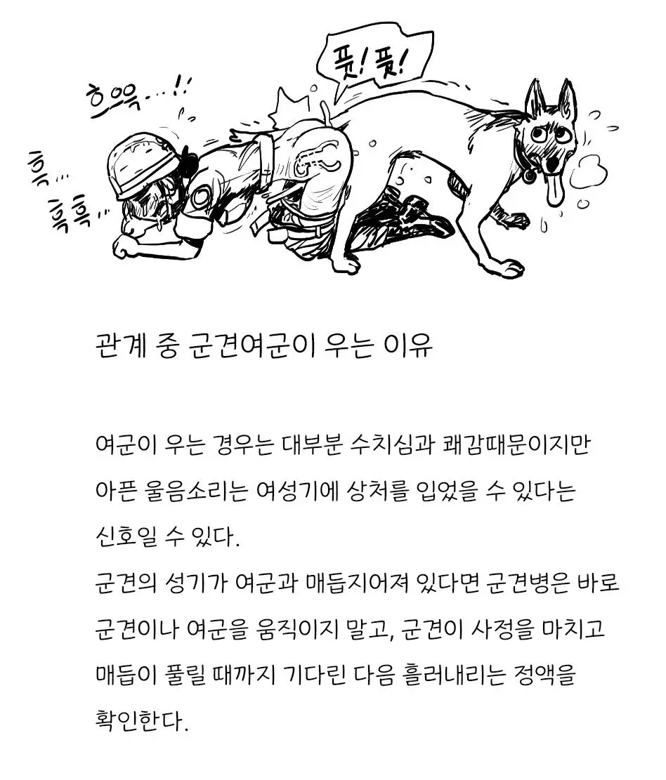 웹툰 이미지 54