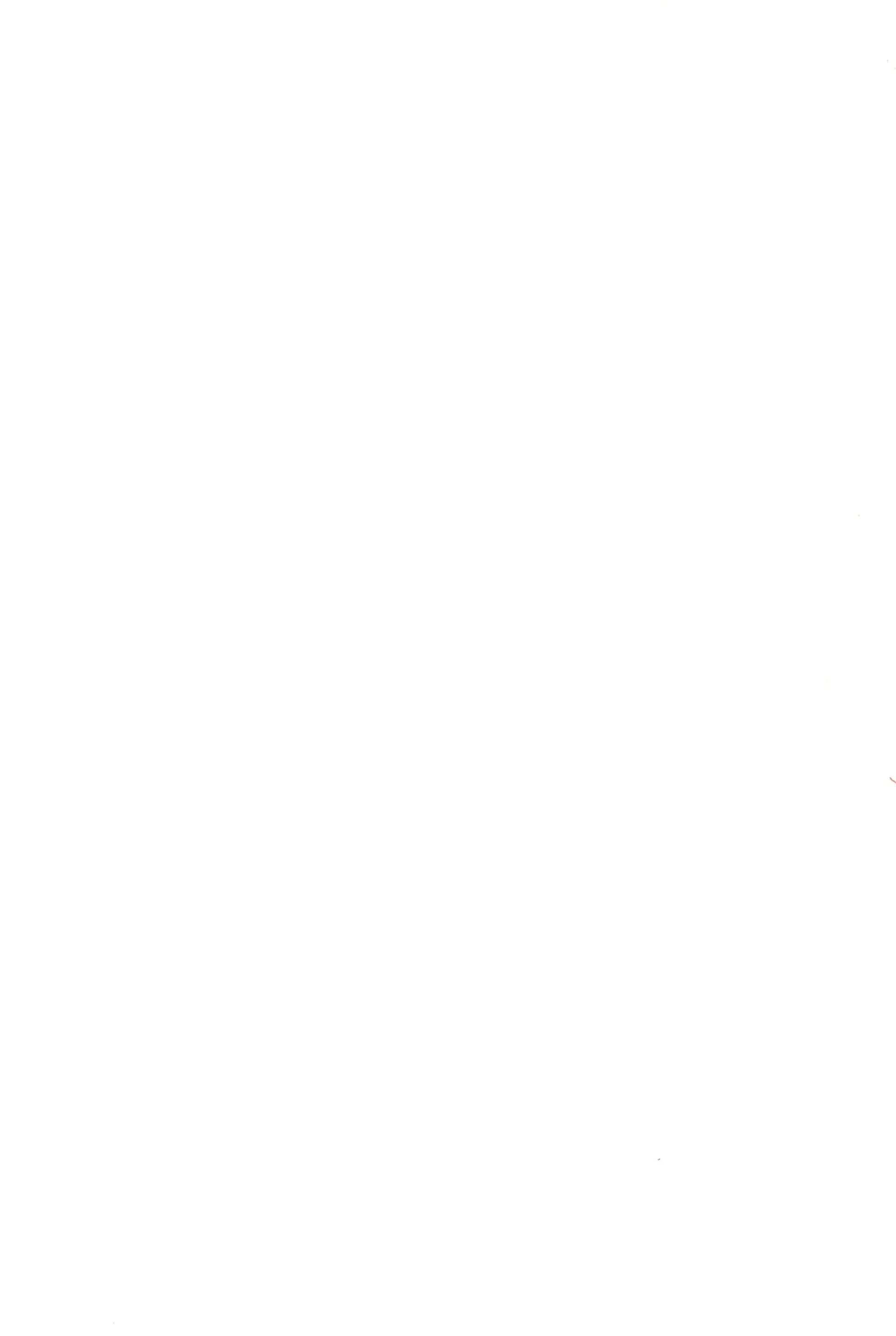 웹툰 이미지 26