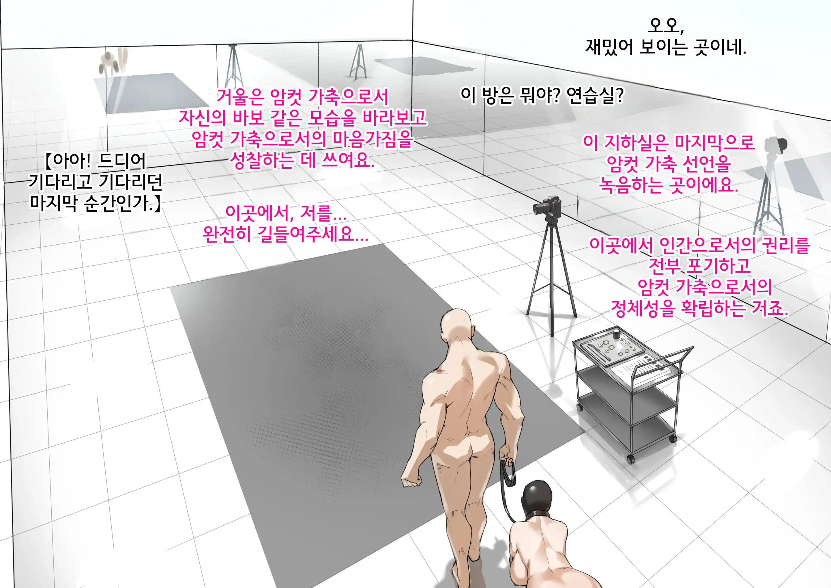 웹툰 이미지 71