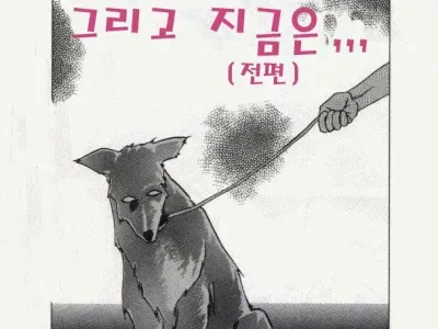 Kindan no Houteishiki | 금단의 방정식