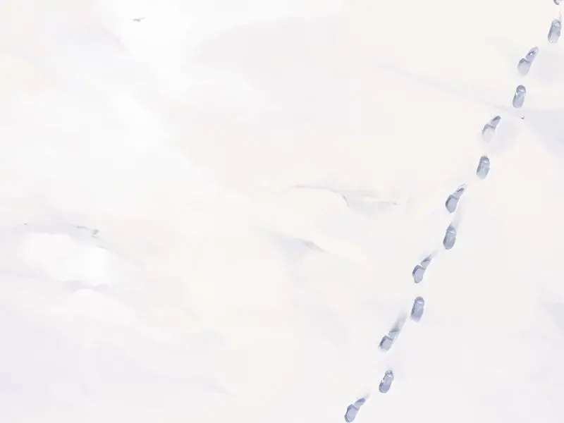 웹툰 이미지 10