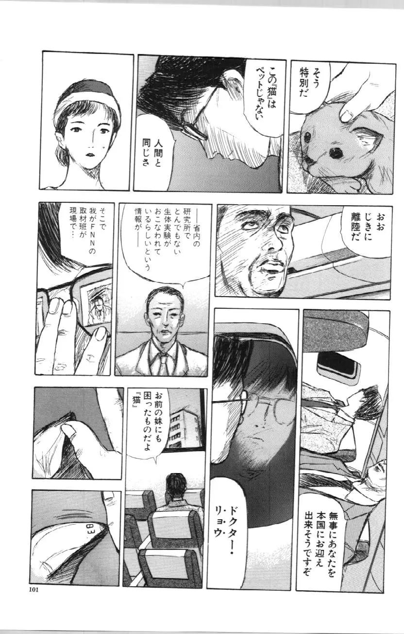 웹툰 이미지 100