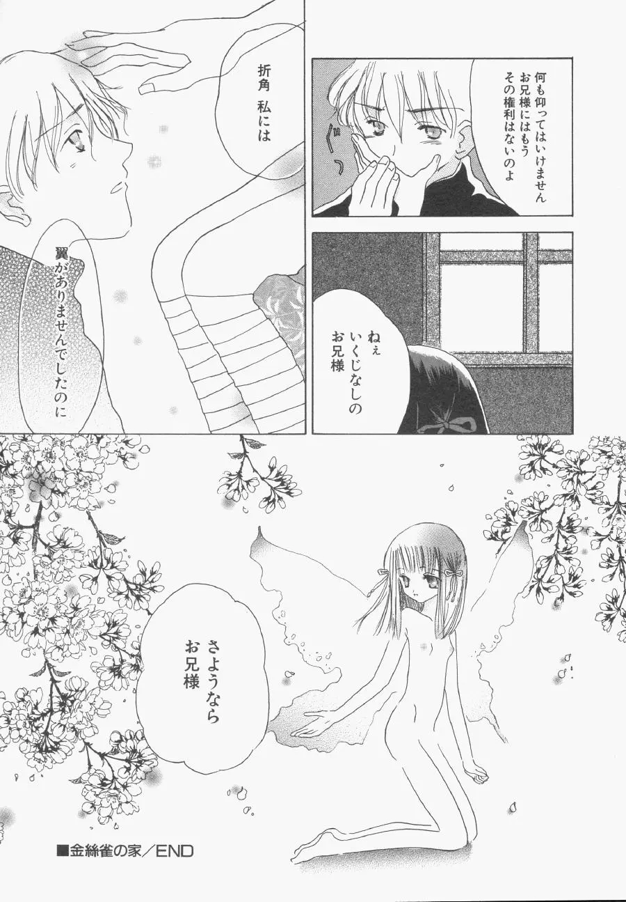 웹툰 이미지 160