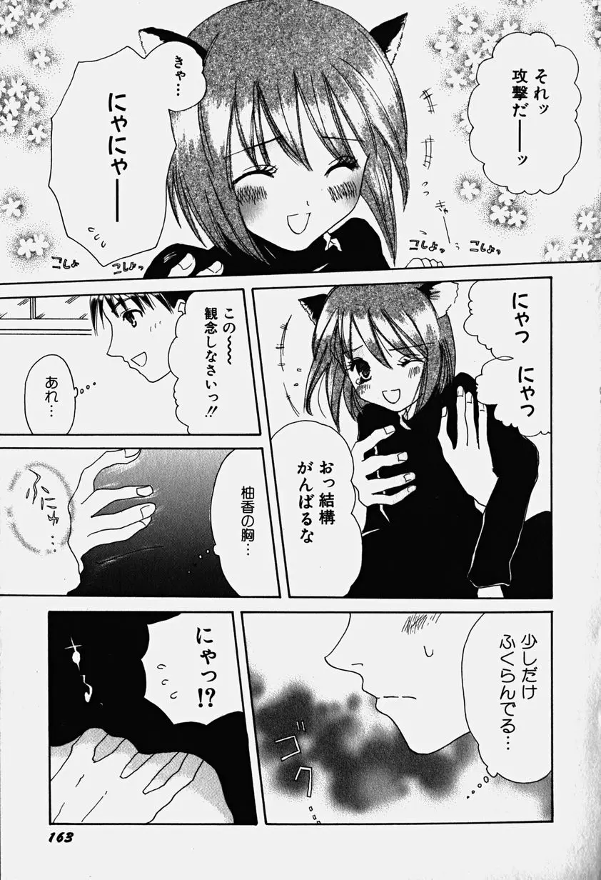웹툰 이미지 167