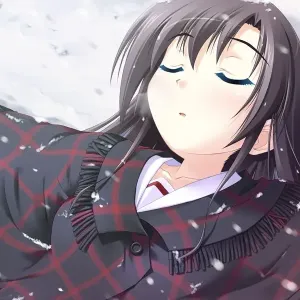 Mashirobotan
