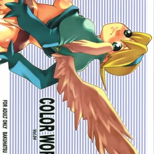 COLOR WORKS Vol. 04