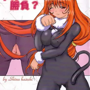 Nakami de Shoubu?