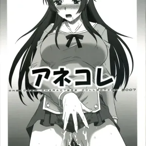 AneColle - One-chan Characters Collection 2007
