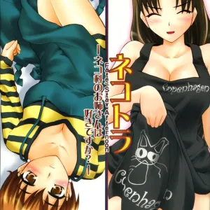 Nekotora -Nekoka no Onee-san wa Suki desu ka?- Fate/Stay Afternoon