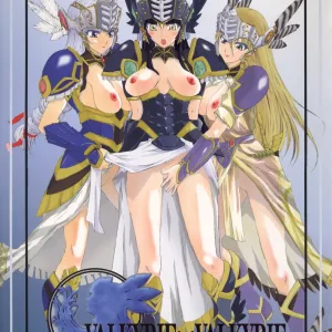 VALKYRIE x VALKYRIE shiruMERIA