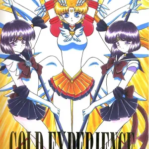GOLD EXPERIENCE