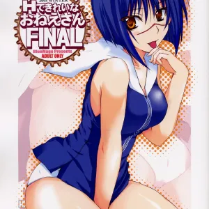 H de Kirei na Onee-san FINAL