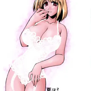 Natsucomi TYPEMOON Hon Junbigou