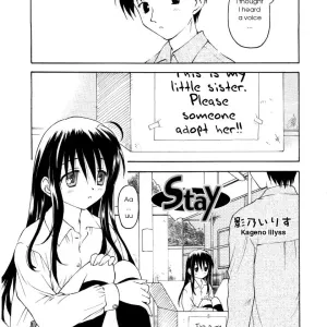 Stay
