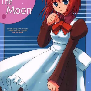 Pale Side of The Moon