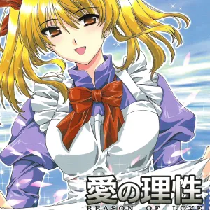 Ai no Risei - Reason of Love