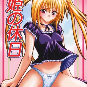 Hime no Kyuujitsu
