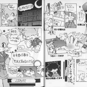 Klonoa & Tails