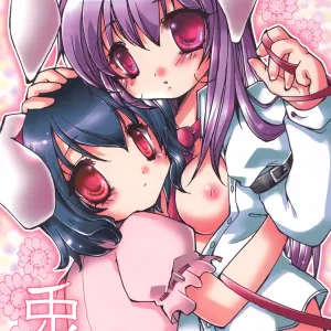 Usagi Arashi