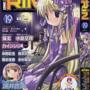 COMIC RiN 2006-07 Vol. 19