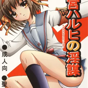 Suzumiya Haruhi no Inbou 2