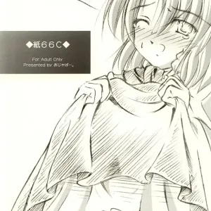 Kami 66C