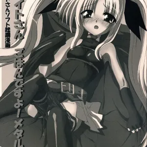Fate-san Gohan Desuyo! Metals