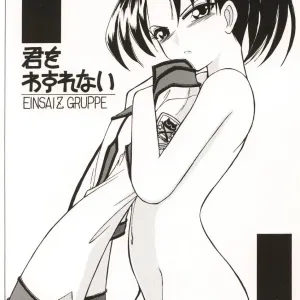 Kimi o Wasurenai