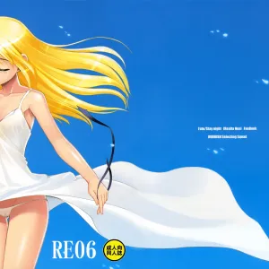 RE 06